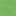 Kiwi Green