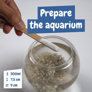 Science4You 35830 - Educational game supplied with a kraft paper gift bag (90 g/m²)