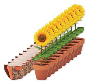 Pack of 10 GiftRetail MO6147 - SUNFLOWER Terracotta pot 'sunflower'